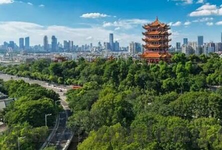 球探球比分即时足球比分-揭秘球探球比分，即时足球比分的幕后英雄与数据狂欢